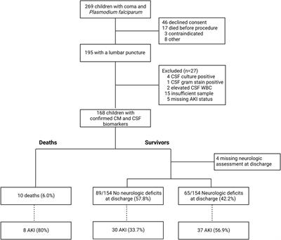 Cerebrospinal fluid biomarkers provide evidence for kidney-brain axis involvement in cerebral malaria pathogenesis